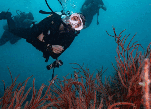 fun dives in lipe