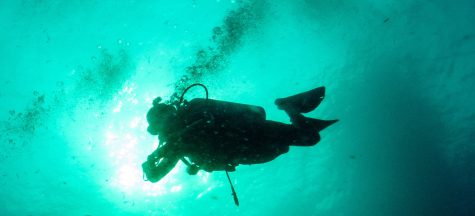 advanced course in Koh lipe