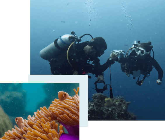 learning to dive in Koh lipe