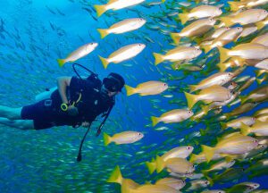 open water course in Koh lipe