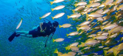 open water course in Koh lipe