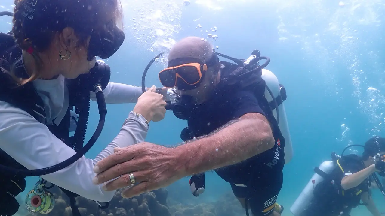 What to Expect on Your First Dive