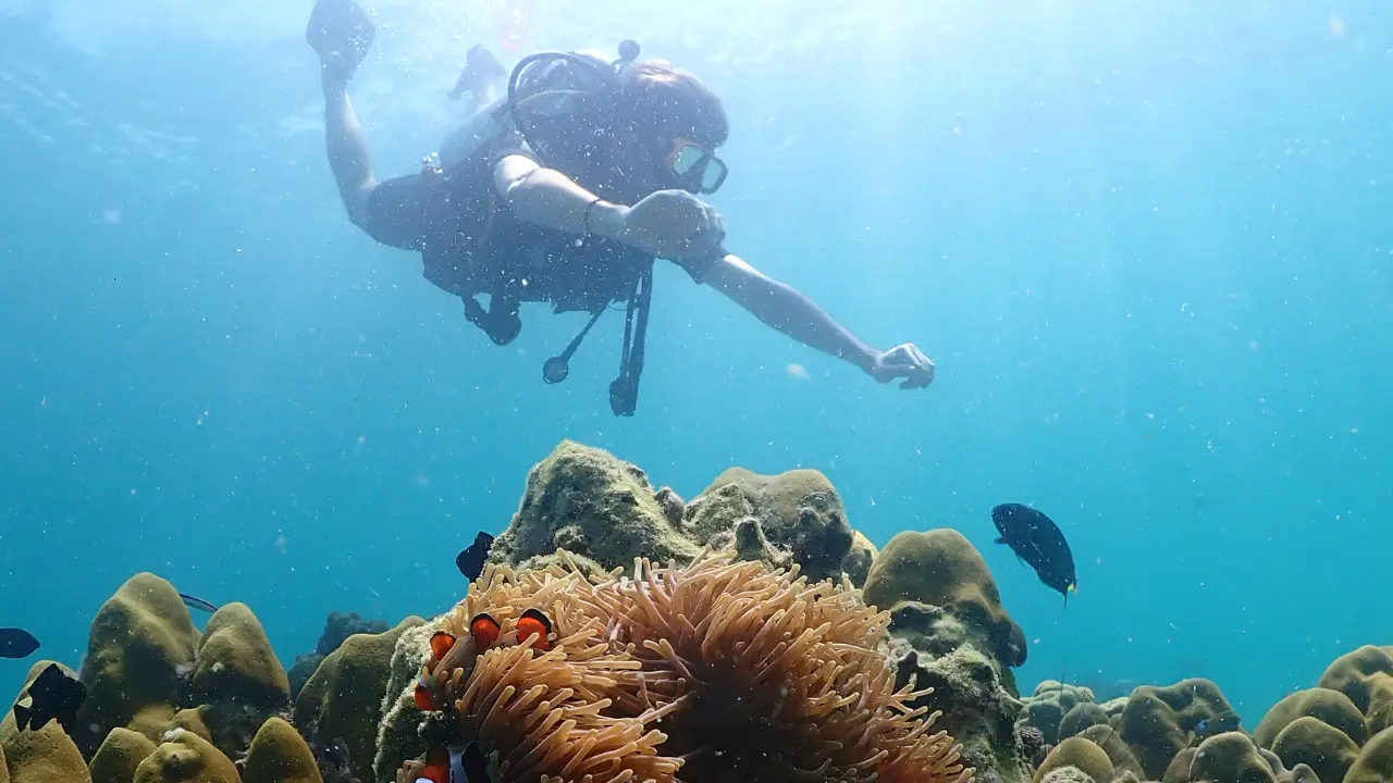 How Deep Do You Go on Your First Scuba Dive?