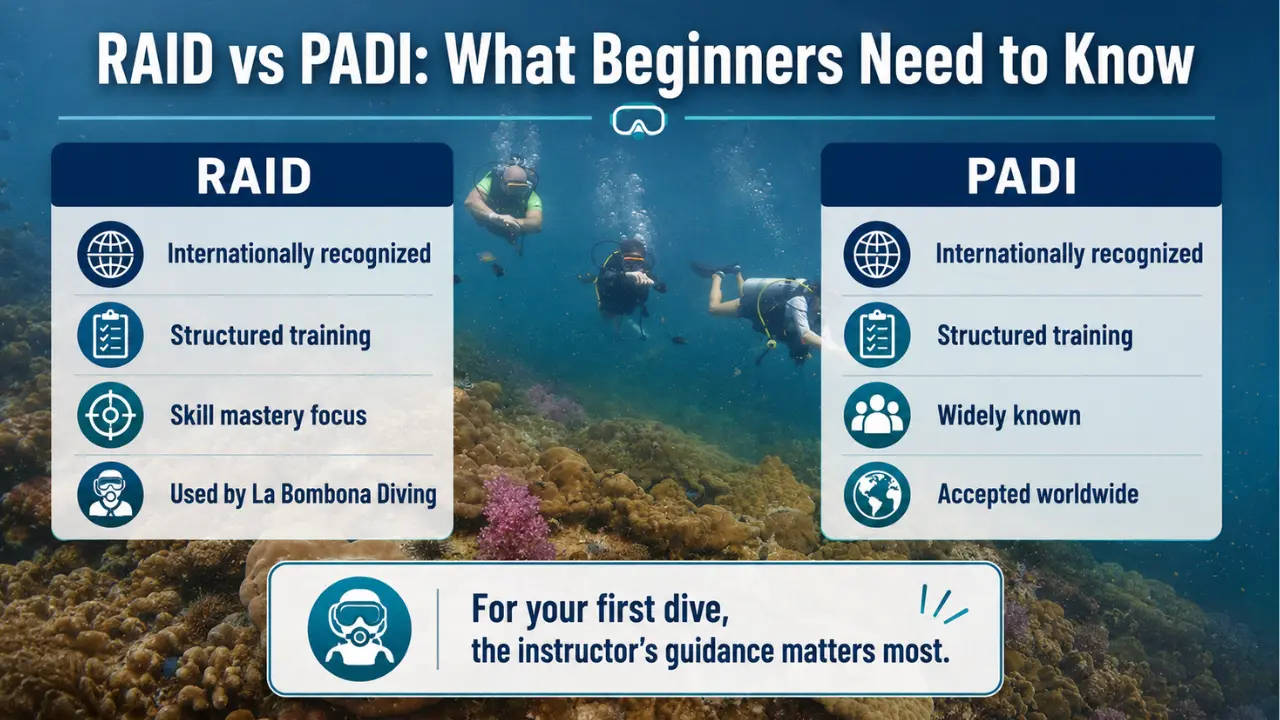 What Certification Do Instructors Hold? RAID vs PADI
