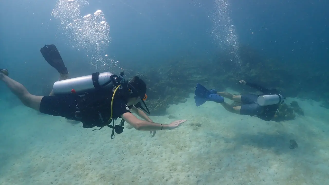 Ready to Try Your First Dive in Koh Lipe?