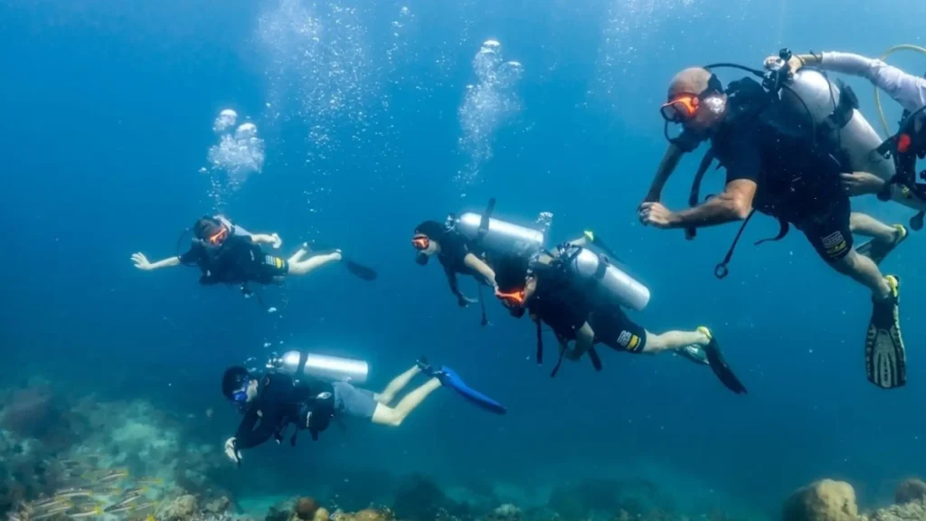 What Is the Best Time to Dive in Koh Lipe? A Month-by-Month Guide