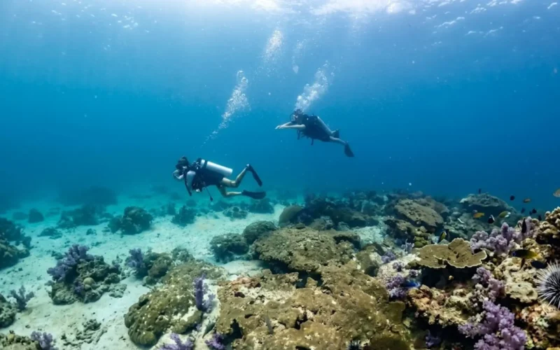 7 Advanced Dive Sites in Koh Lipe You Should Know