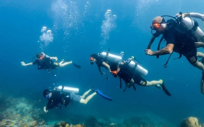 What Is the Best Time to Dive in Koh Lipe? A Month-by-Month Guide