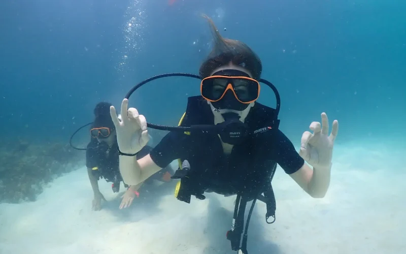 A Complete Guide to Scuba Diving in Koh Lipe: Everything First-Timers Need to Know